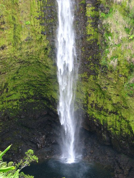 Akaka-Falls-State-Park-Honomu-Big-Island-Hawaii-016