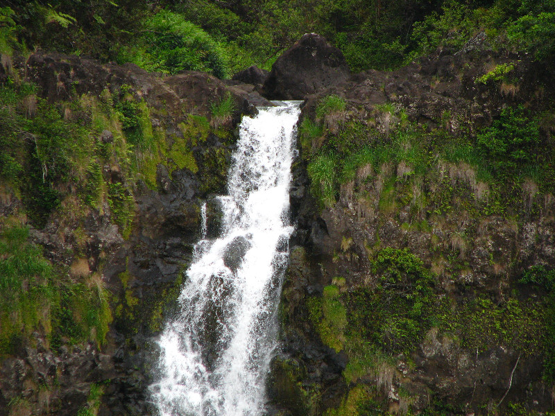 Akaka-Falls-State-Park-Honomu-Big-Island-Hawaii-017
