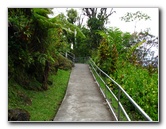 Akaka-Falls-State-Park-Honomu-Big-Island-Hawaii-008