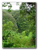 Akaka-Falls-State-Park-Honomu-Big-Island-Hawaii-009