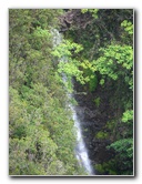 Akaka-Falls-State-Park-Honomu-Big-Island-Hawaii-010