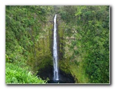 Akaka Falls State Park Pictures