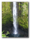 Akaka-Falls-State-Park-Honomu-Big-Island-Hawaii-016