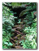 Akaka-Falls-State-Park-Honomu-Big-Island-Hawaii-021