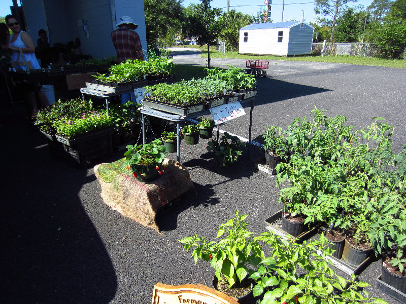 Alachua-County-Farmers-Market-Gainesville-FL-003