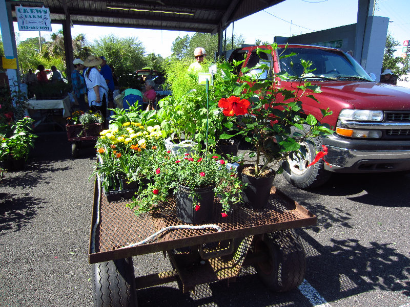 Alachua-County-Farmers-Market-Gainesville-FL-004