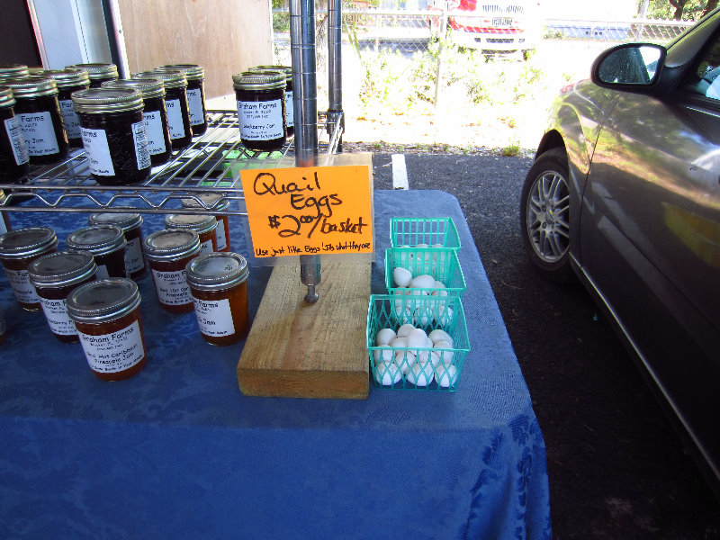 Alachua-County-Farmers-Market-Gainesville-FL-006