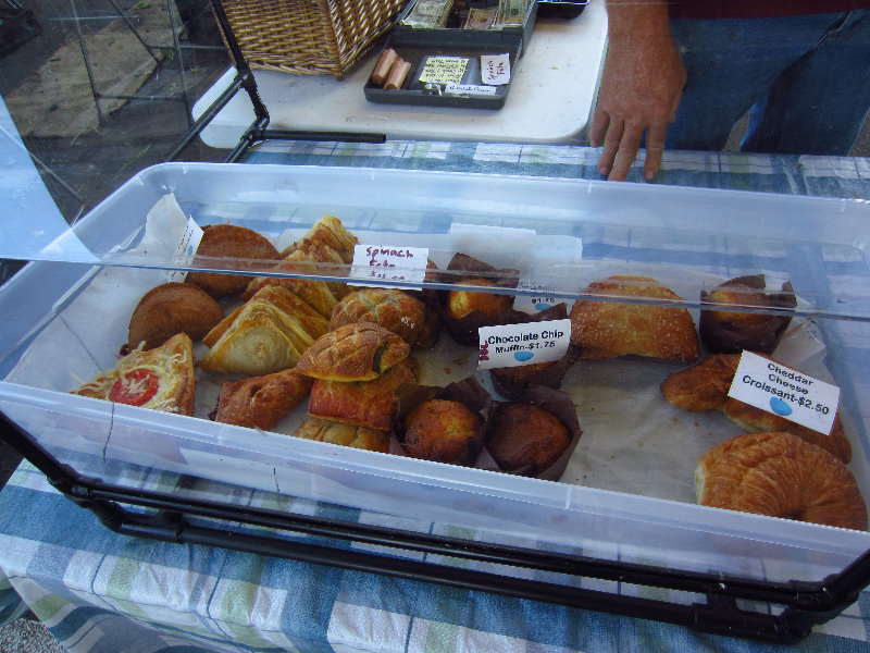 Alachua-County-Farmers-Market-Gainesville-FL-012