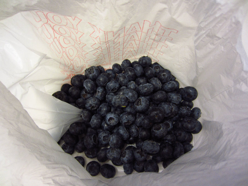 Alachua-County-Farmers-Market-Gainesville-FL-013