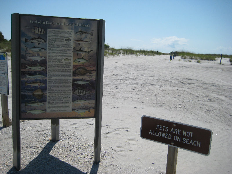 Amelia-Island-State-Park-Jacksonville-Duval-County-FL-009