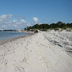 Amelia Island State Park - Nassau County, FL