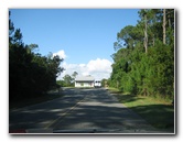 Amelia-Island-State-Park-Jacksonville-Duval-County-FL-002