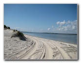 Amelia-Island-State-Park-Jacksonville-Duval-County-FL-005