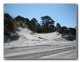 Amelia-Island-State-Park-Jacksonville-Duval-County-FL-008