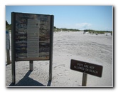 Amelia-Island-State-Park-Jacksonville-Duval-County-FL-009