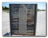 Amelia-Island-State-Park-Jacksonville-Duval-County-FL-010