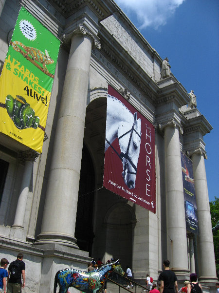 American-Museum-of-Natural-History-Manhattan-NYC-005
