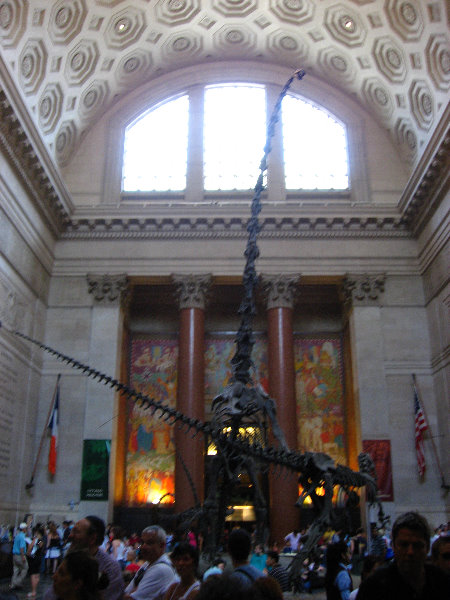 American-Museum-of-Natural-History-Manhattan-NYC-007