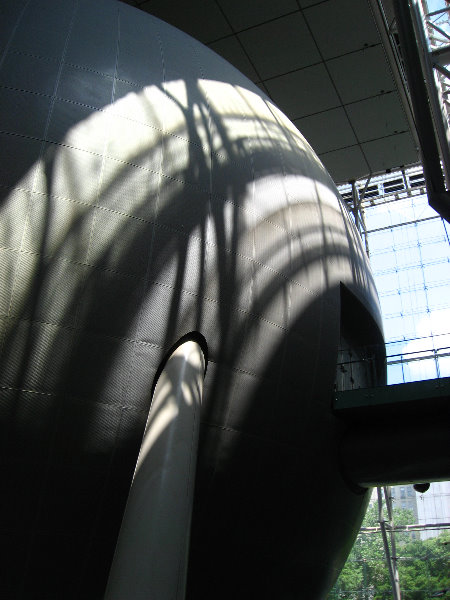 American-Museum-of-Natural-History-Manhattan-NYC-010