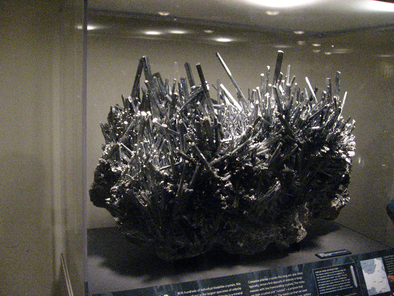 American-Museum-of-Natural-History-Manhattan-NYC-030