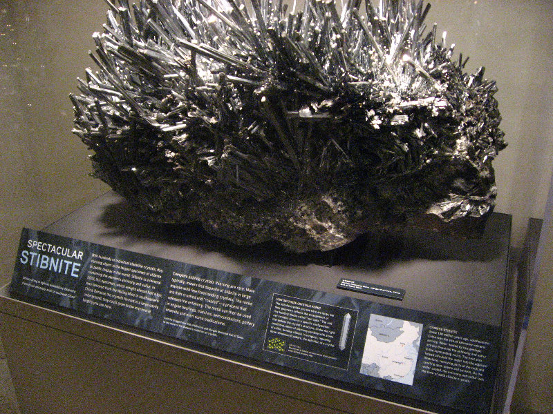 American-Museum-of-Natural-History-Manhattan-NYC-032
