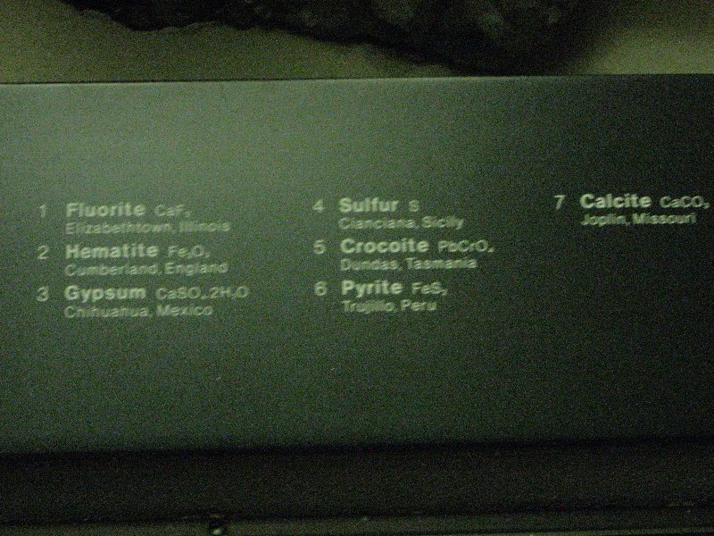 American-Museum-of-Natural-History-Manhattan-NYC-040