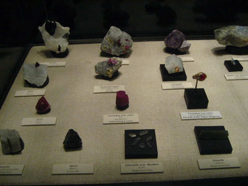 American-Museum-of-Natural-History-Manhattan-NYC-043
