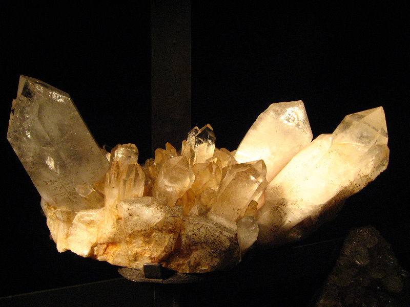 American-Museum-of-Natural-History-Manhattan-NYC-047