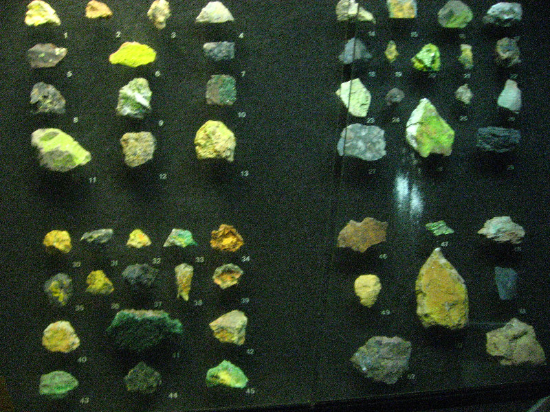 American-Museum-of-Natural-History-Manhattan-NYC-049