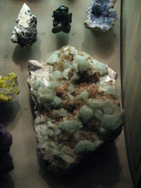 American-Museum-of-Natural-History-Manhattan-NYC-055