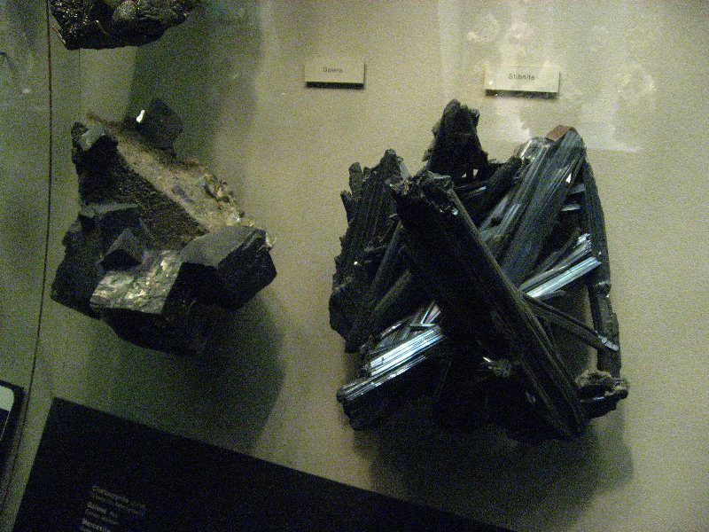 American-Museum-of-Natural-History-Manhattan-NYC-057