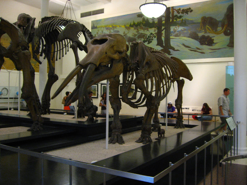 American-Museum-of-Natural-History-Manhattan-NYC-061