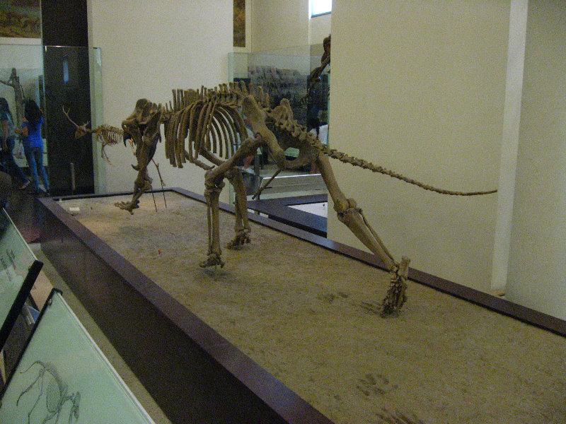 American-Museum-of-Natural-History-Manhattan-NYC-063
