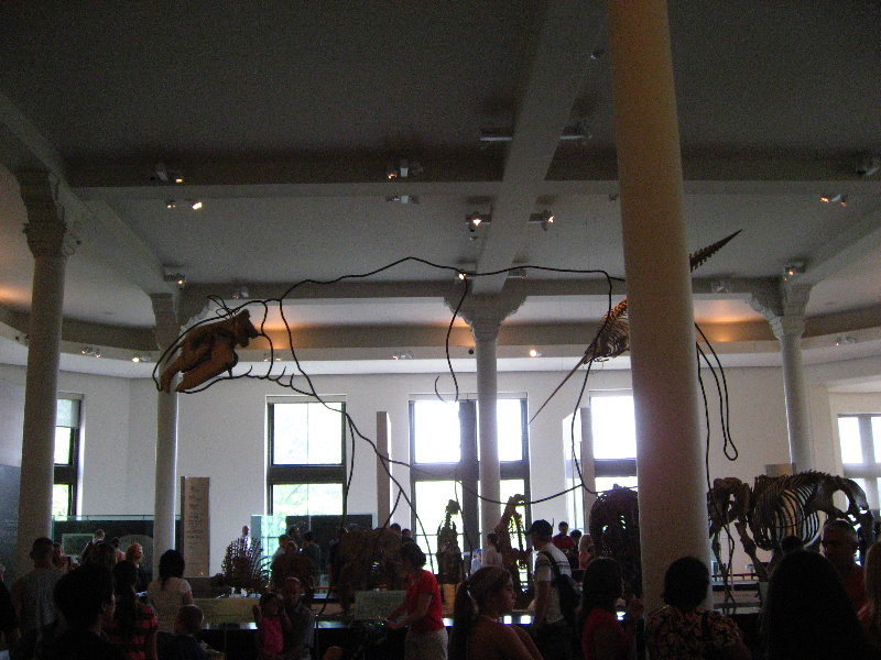 American-Museum-of-Natural-History-Manhattan-NYC-064