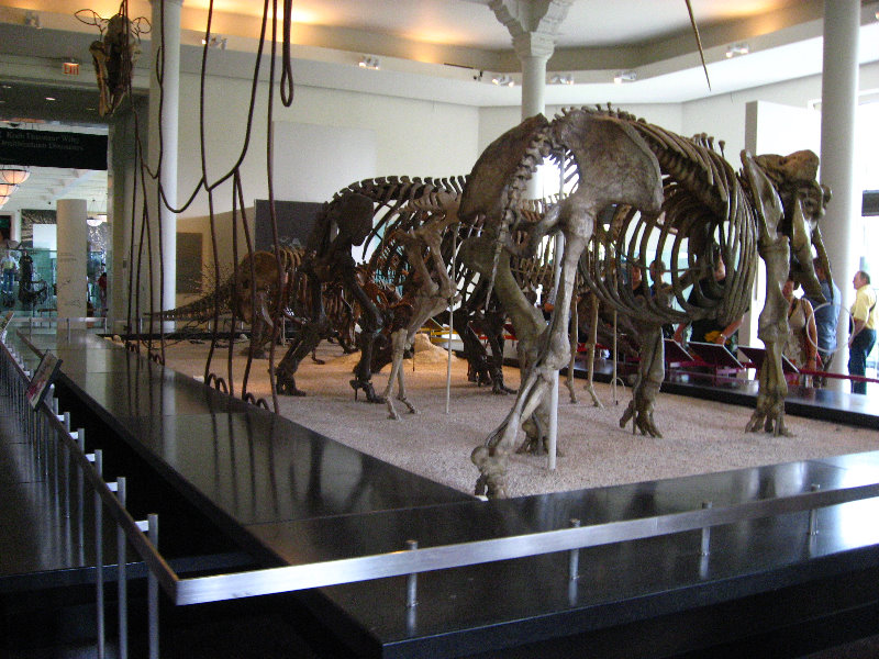 American-Museum-of-Natural-History-Manhattan-NYC-066