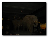 American-Museum-of-Natural-History-Manhattan-NYC-009