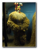 American-Museum-of-Natural-History-Manhattan-NYC-018