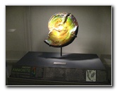 American-Museum-of-Natural-History-Manhattan-NYC-033