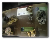 American-Museum-of-Natural-History-Manhattan-NYC-037
