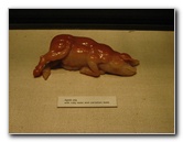 American-Museum-of-Natural-History-Manhattan-NYC-042