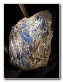 American-Museum-of-Natural-History-Manhattan-NYC-044