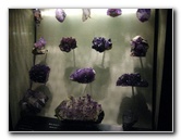 American-Museum-of-Natural-History-Manhattan-NYC-053