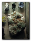 American-Museum-of-Natural-History-Manhattan-NYC-055