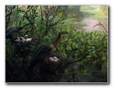 American-Museum-of-Natural-History-Manhattan-NYC-059