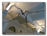 American-Museum-of-Natural-History-Manhattan-NYC-081