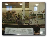 American-Museum-of-Natural-History-Manhattan-NYC-089