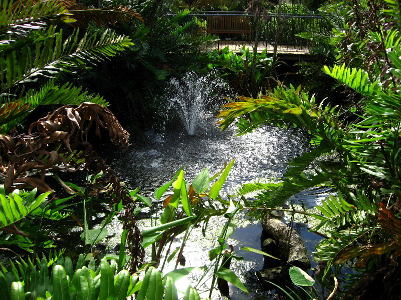American-Orchid-Society-Delray-Beach-FL-147