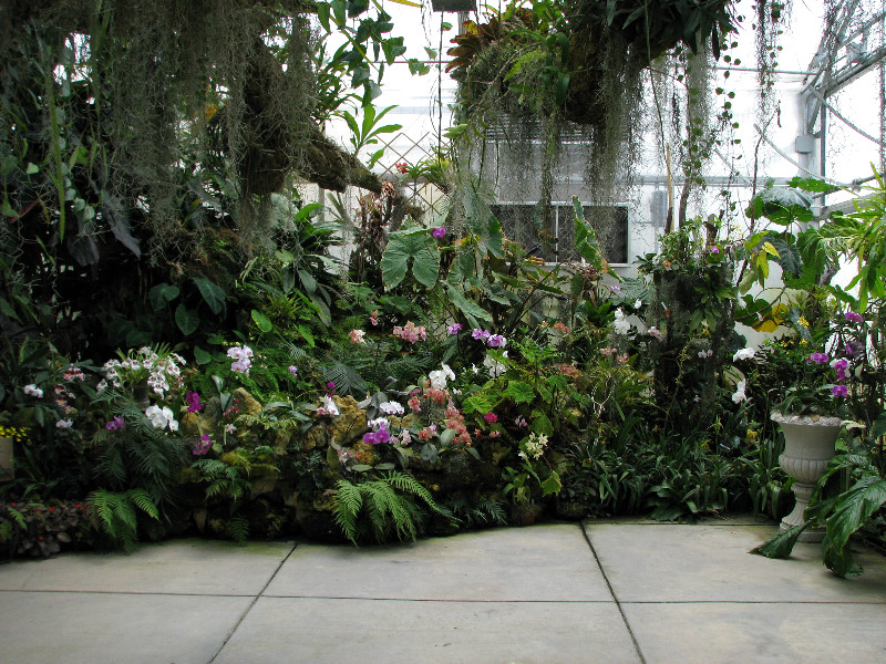 American-Orchid-Society-Summer-2008-083