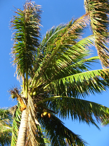 Amunuca-Resort-Tokoriki-Island-Mamanuca-Group-Fiji-048