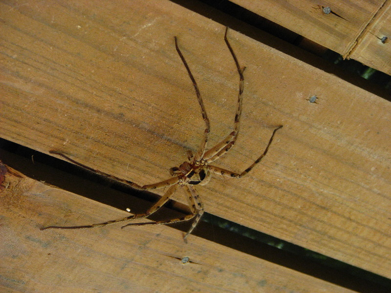 Amunuca-Resort-Tokoriki-Island-Mamanuca-Group-Fiji-055